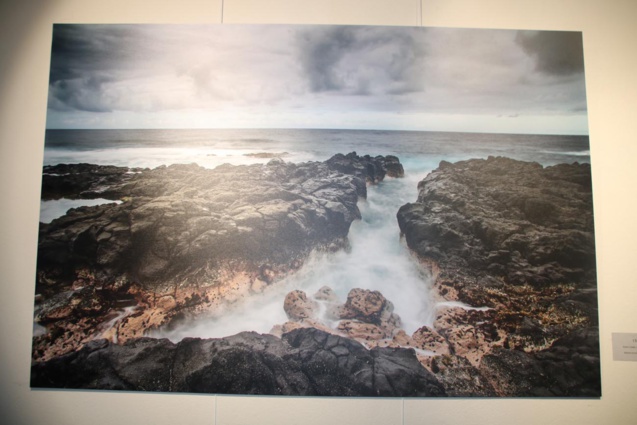 Expo: "La Réunion-Sur-Mer" à la Galerie Artefact