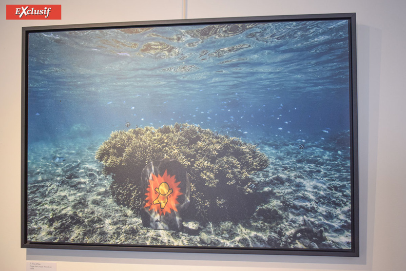 Expo "Galets" de Jace: à la chasse aux Gouzous... aquatiques! 