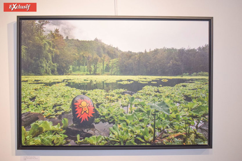 Expo "Galets" de Jace: à la chasse aux Gouzous... aquatiques! 