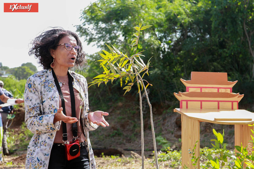 Sandrine Gilson du Conseil Départemental: «Nous avons pour mission d'inverser la tendance de la perte de la biodiversité de La Réunion qui est unique au monde»...