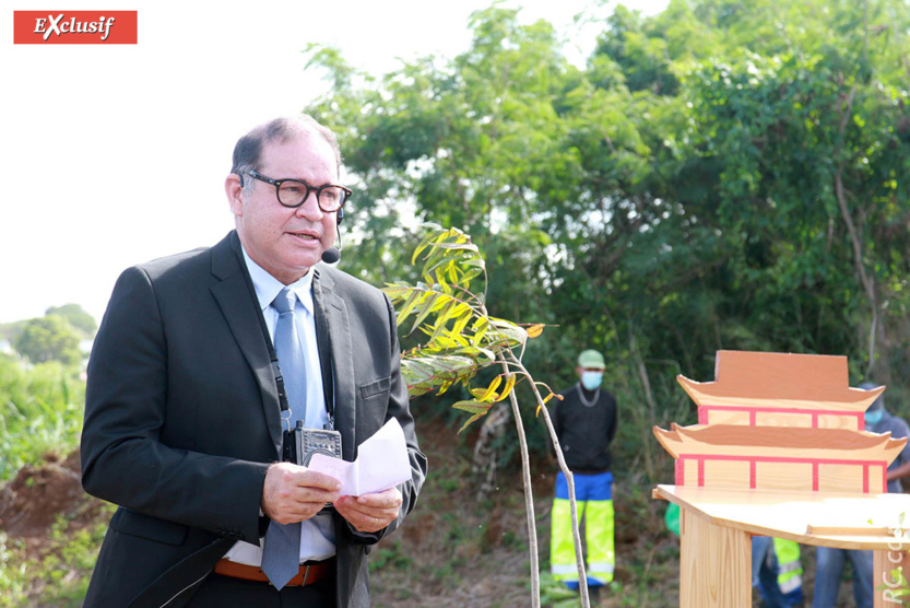 David Lorion, député de La Réunion, a cité Gandi: «Un arbre qui s'abat fait beaucoup de bruit. Une forêt qui germe, on ne l'entend pas»...