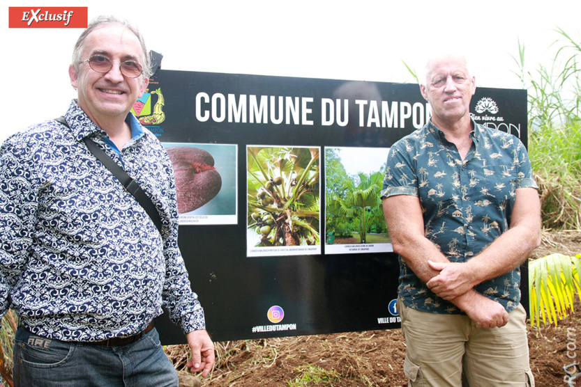 Olivier Voillequin, paysagiste à la mairie du Tampon, et Olivier Coton, président de Palmeraie-Union