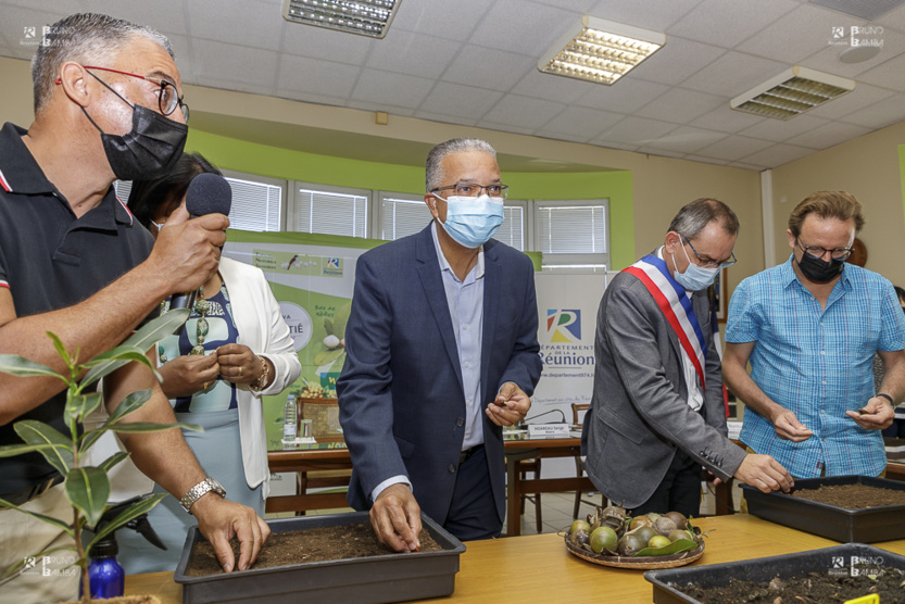 Petite Ile, premier partenaire communal  du plan "1 million d’Arbres pour La Réunion"