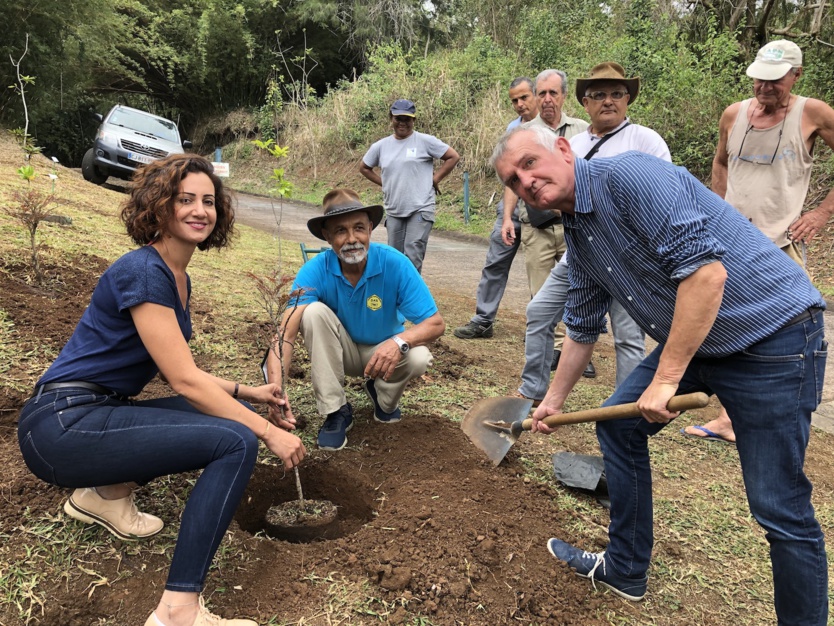 Plantation d’espèces endémiques et exotiques avec Camille Clain, François Payet, et Henry Clément