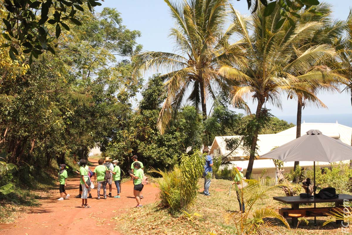 Dans un magnifique cadre de verdure de 4 hectares