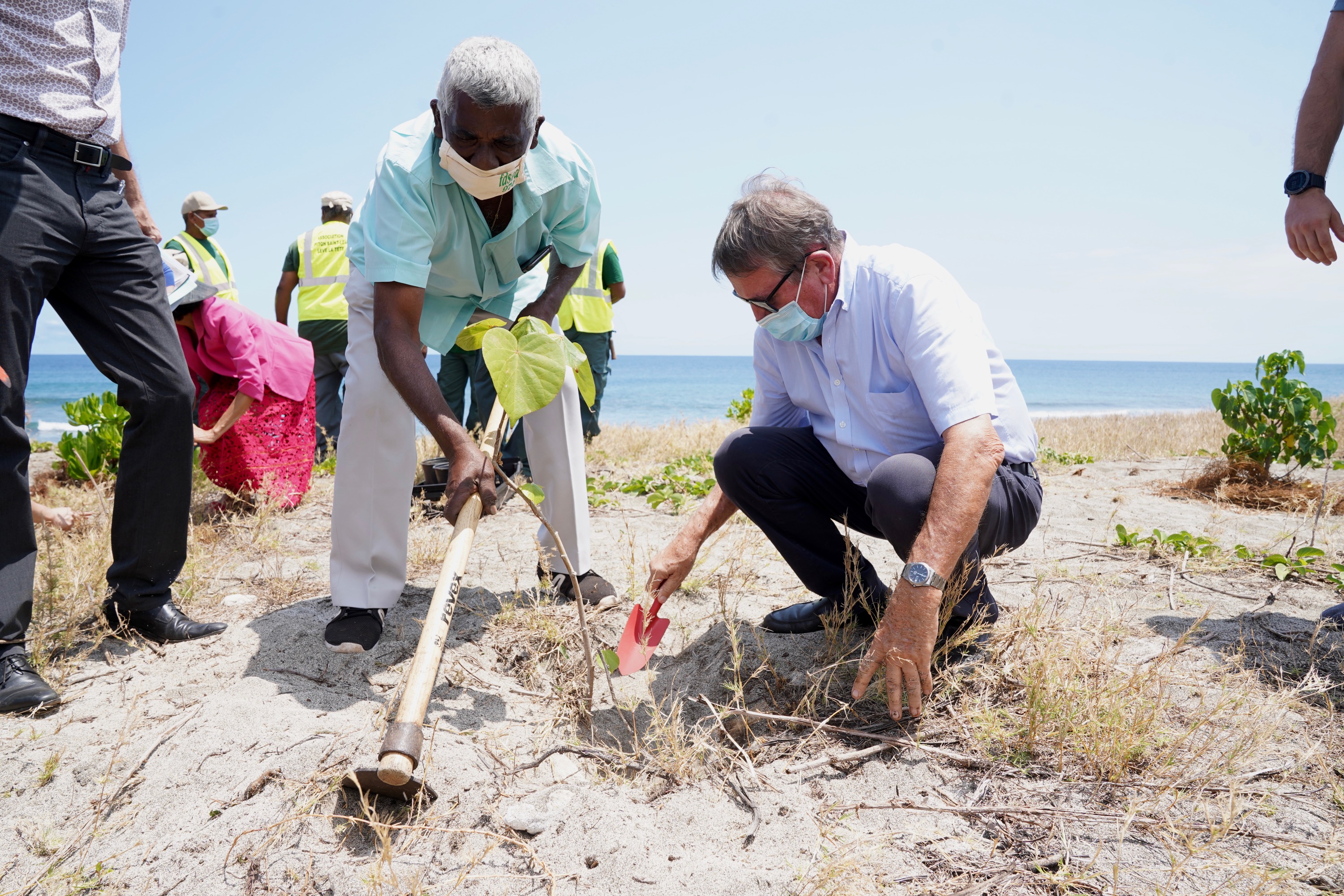 Réhabilitation des sites de ponte de tortues marines à Saint-Leu