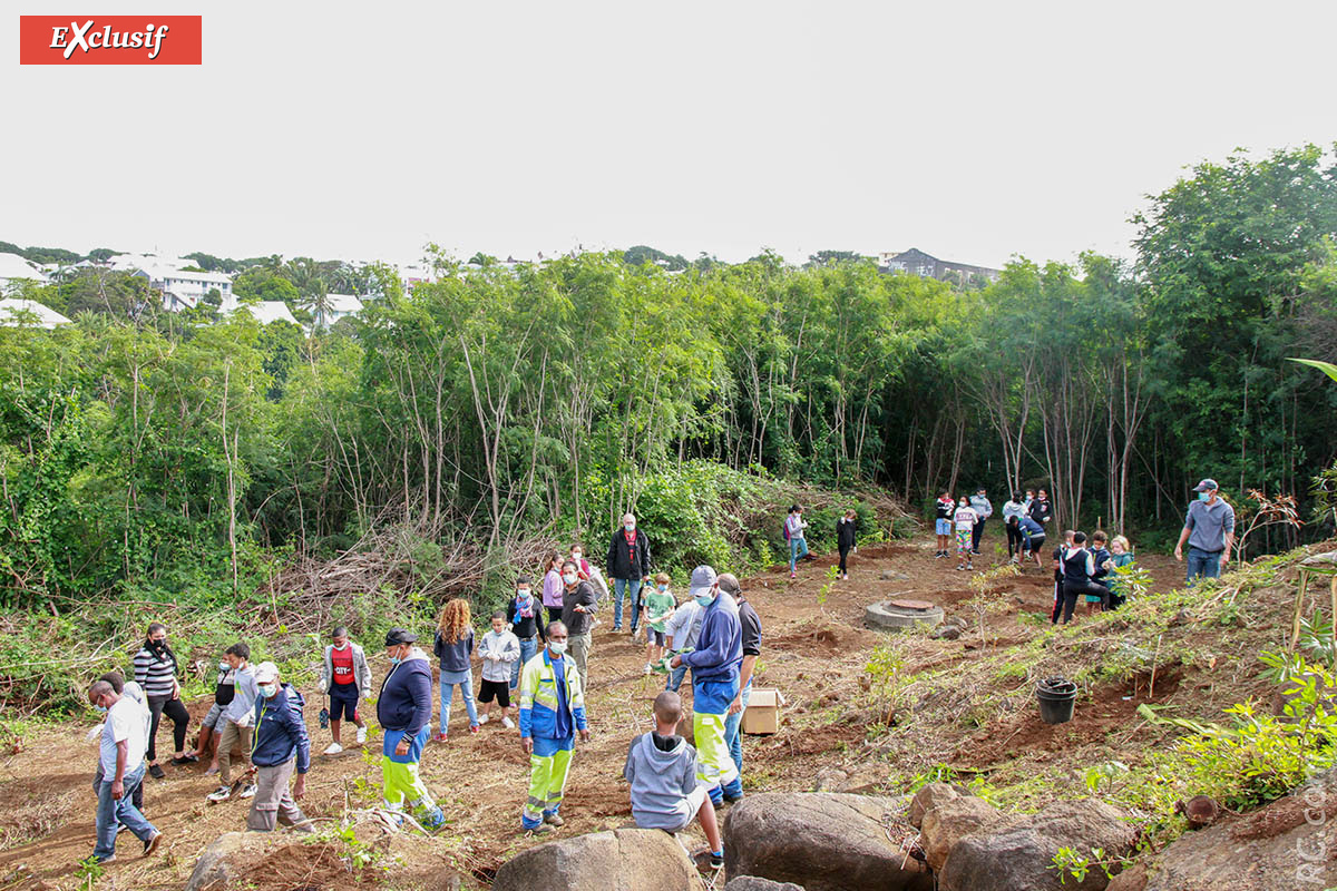 L'arboretum «Le Bois de Wuwei» marque le coup d'envoi de toute une série de plantations d'arbres sur le site du temple de Guandi de Terre Sainte