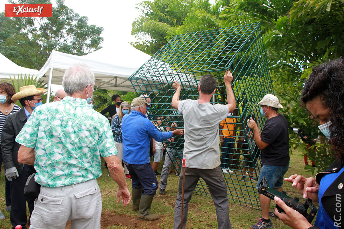 La cage protectrice va être posée