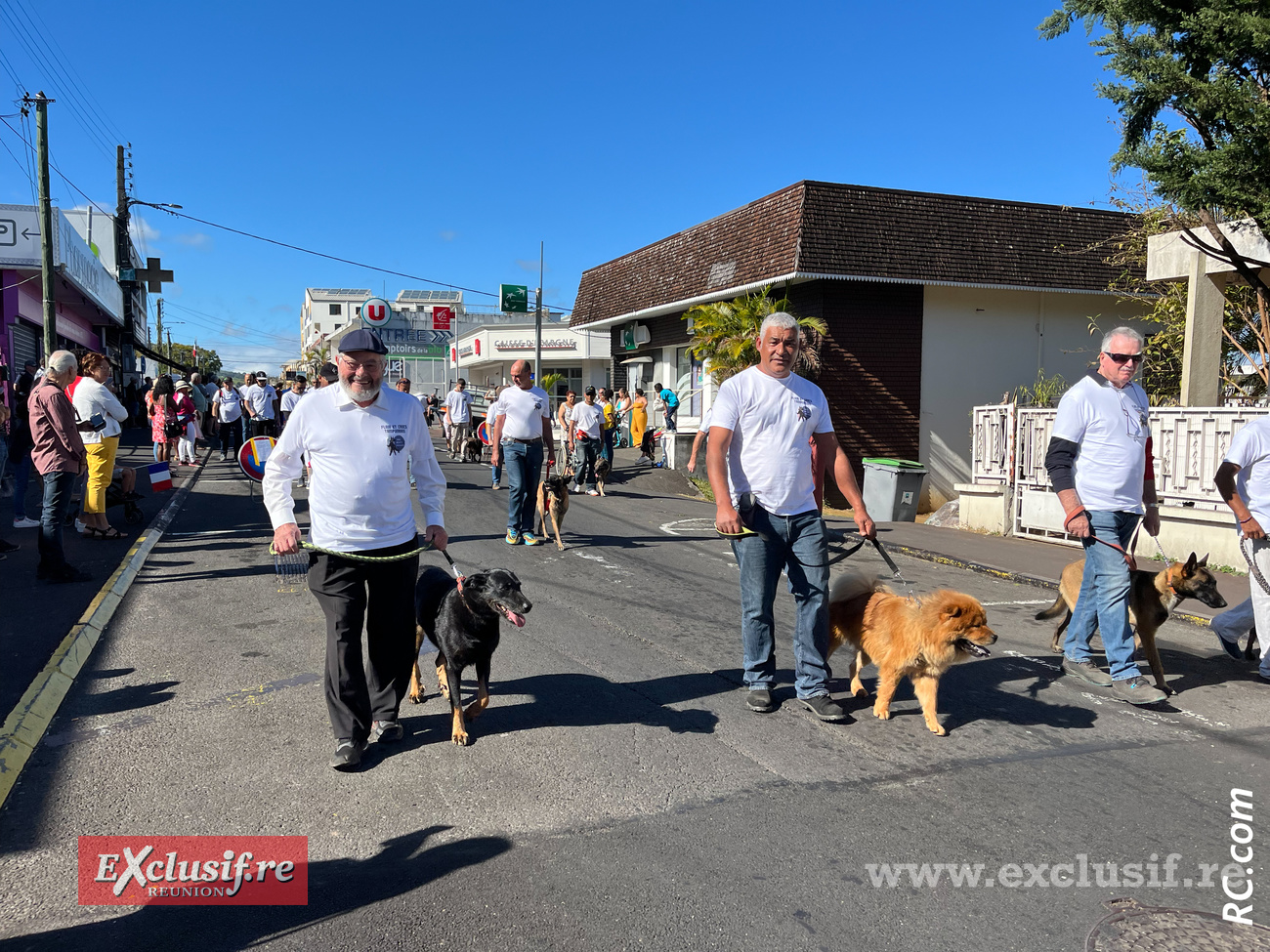 Les toutous et leurs maîtres dans la rue principale de la ville