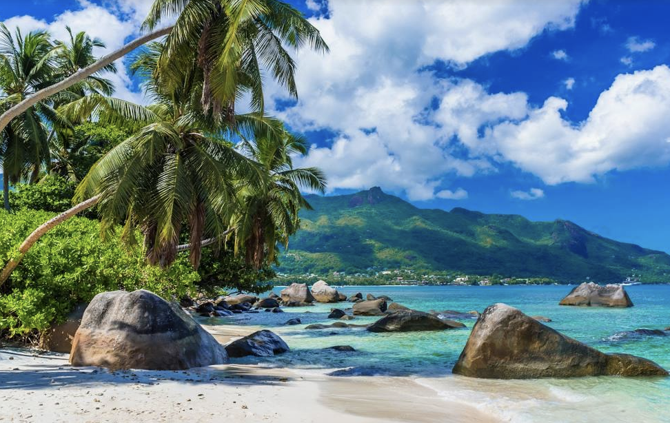 La Saint-Sylvestre aux Seychelles?