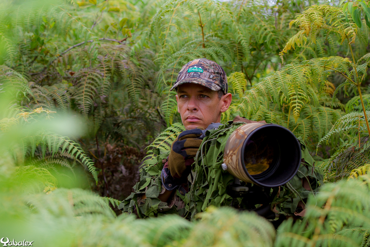 YabAlex, un photographe passionné par la nature. Il peut rester en attente de la bonne photo pendant des heures....